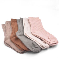 20221103 SD2 DSC 04501 e1728309223750